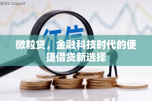 洪雅微粒贷，金融科技时代的便捷借贷新选择