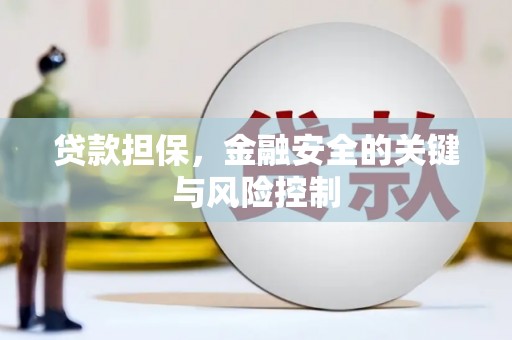 洪雅贷款担保，金融安全的关键与风险控制