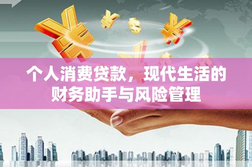 洪雅个人消费贷款，现代生活的财务助手与风险管理