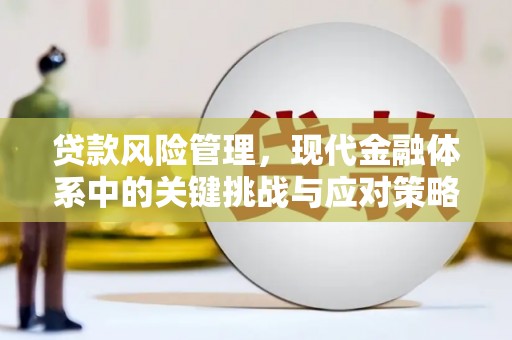 洪雅贷款风险管理，现代金融体系中的关键挑战与应对策略