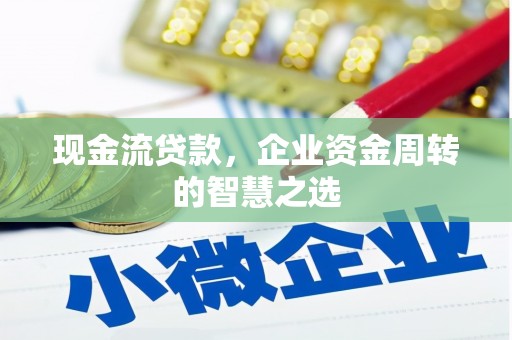 洪雅现金流贷款，企业资金周转的智慧之选
