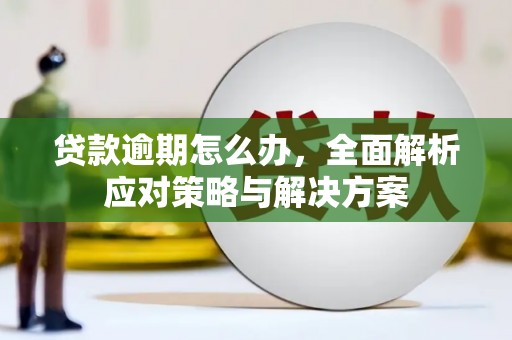 洪雅贷款逾期怎么办，全面解析应对策略与解决方案