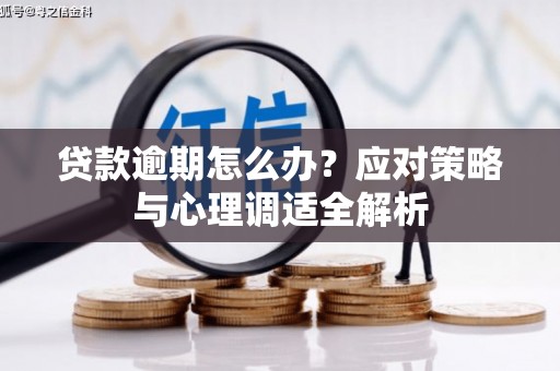 洪雅贷款逾期怎么办？应对策略与心理调适全解析