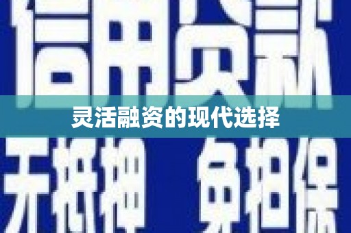 洪雅灵活融资的现代选择