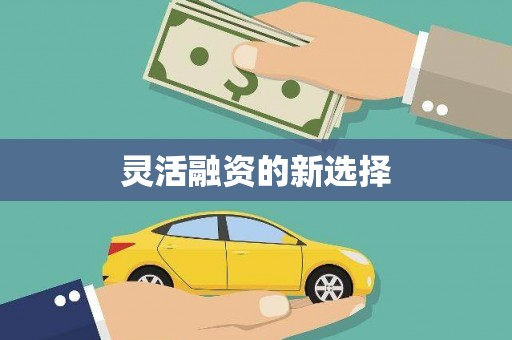 洪雅灵活融资的新选择
