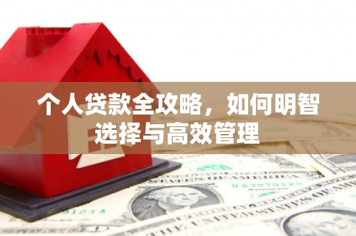 洪雅个人贷款全攻略，如何明智选择与高效管理