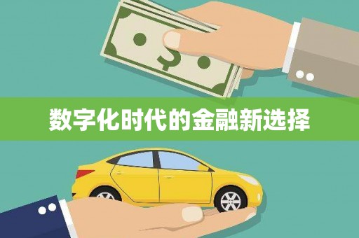洪雅数字化时代的金融新选择