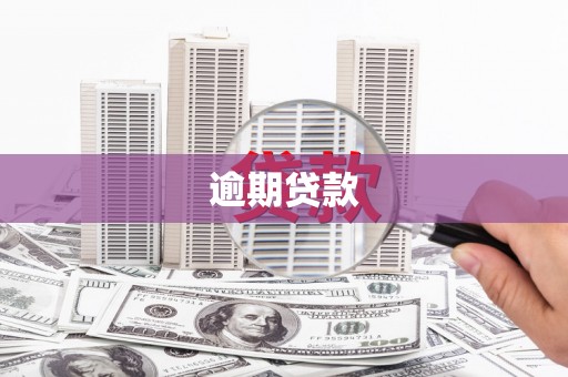 洪雅逾期贷款