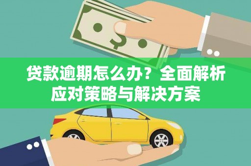洪雅贷款逾期怎么办？全面解析应对策略与解决方案