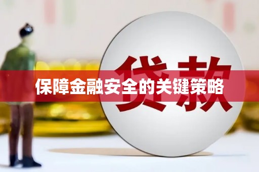 洪雅保障金融安全的关键策略