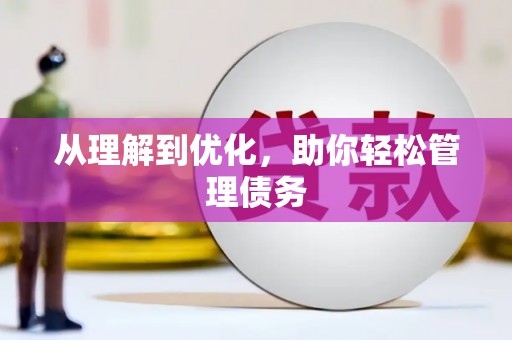 洪雅从理解到优化，助你轻松管理债务