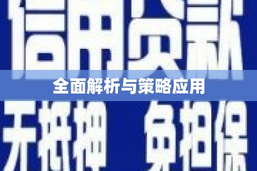 洪雅全面解析与策略应用
