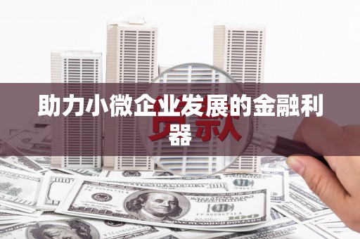 洪雅助力小微企业发展的金融利器