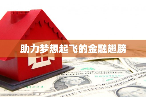 洪雅助力梦想起飞的金融翅膀