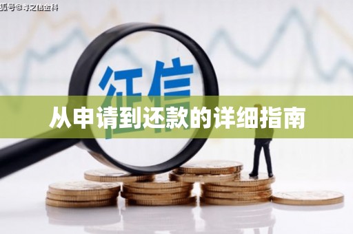 洪雅从申请到还款的详细指南