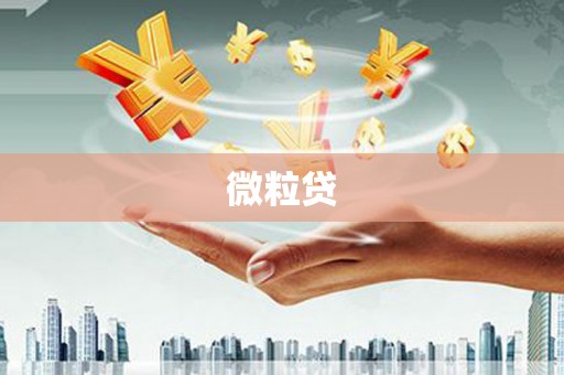 洪雅微粒贷
