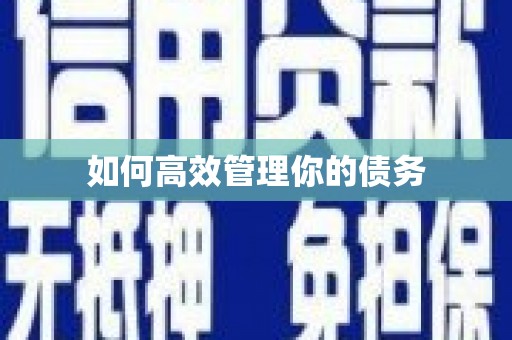 洪雅如何高效管理你的债务