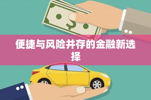 洪雅便捷与风险并存的金融新选择