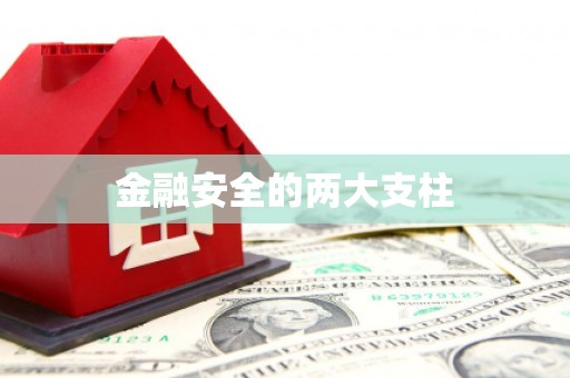 洪雅金融安全的两大支柱