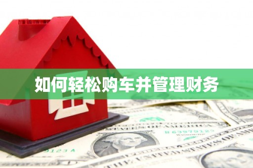 洪雅如何轻松购车并管理财务