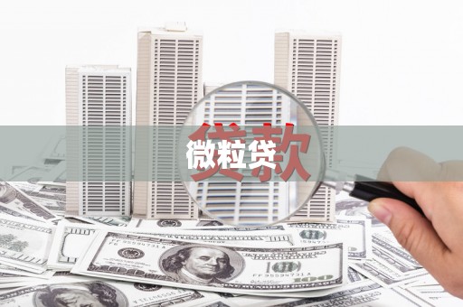 洪雅微粒贷