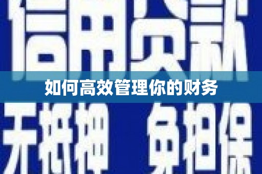 洪雅如何高效管理你的财务
