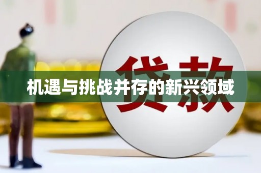 洪雅机遇与挑战并存的新兴领域