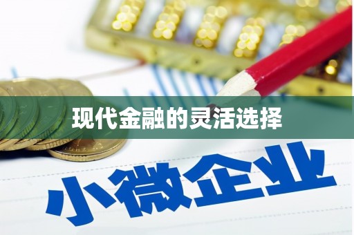 洪雅现代金融的灵活选择