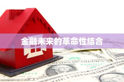 洪雅金融未来的革命性结合