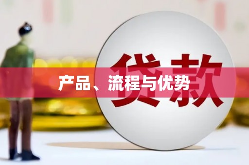 洪雅产品、流程与优势
