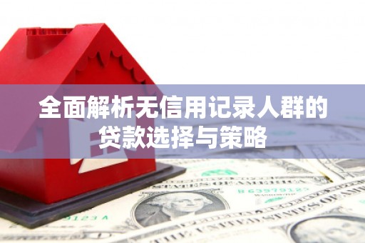 洪雅全面解析无信用记录人群的贷款选择与策略