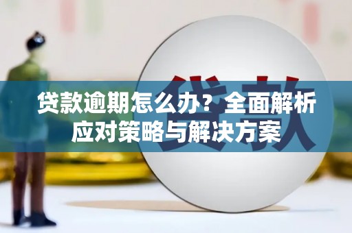 洪雅贷款逾期怎么办？全面解析应对策略与解决方案