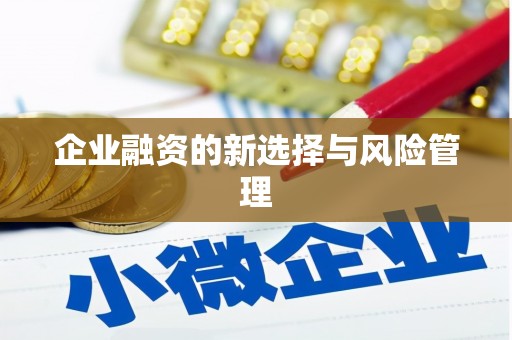 洪雅企业融资的新选择与风险管理