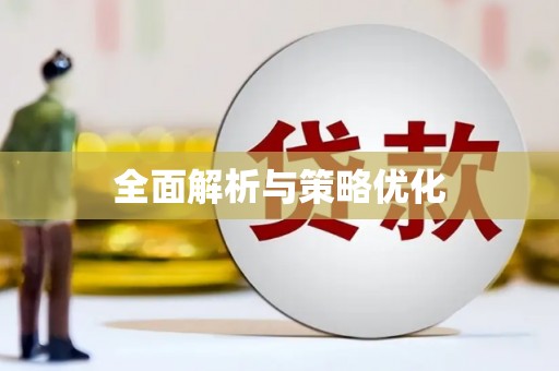 洪雅全面解析与策略优化