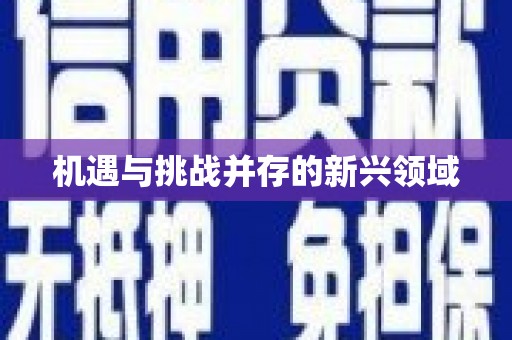 洪雅机遇与挑战并存的新兴领域