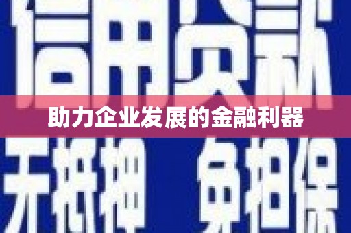 洪雅助力企业发展的金融利器