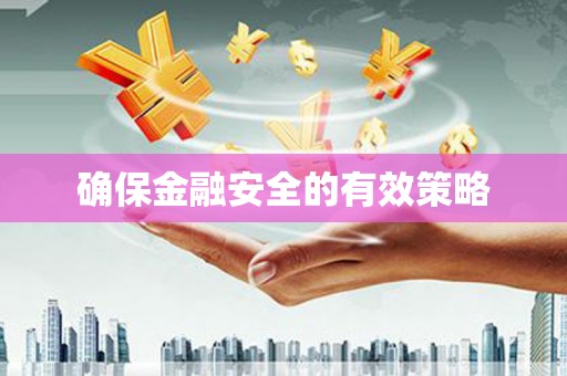 洪雅确保金融安全的有效策略