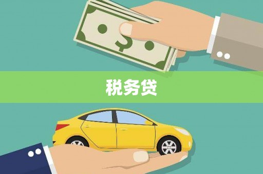 洪雅税务贷