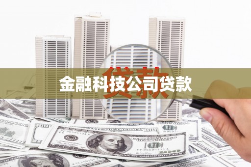 洪雅金融科技公司贷款