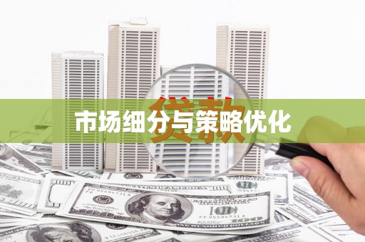 洪雅市场细分与策略优化