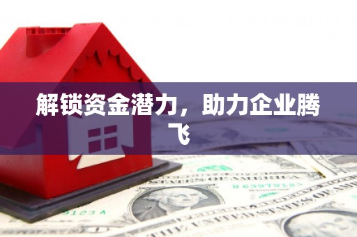 洪雅解锁资金潜力，助力企业腾飞