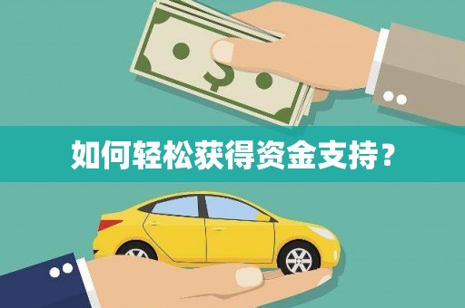 洪雅如何轻松获得资金支持？