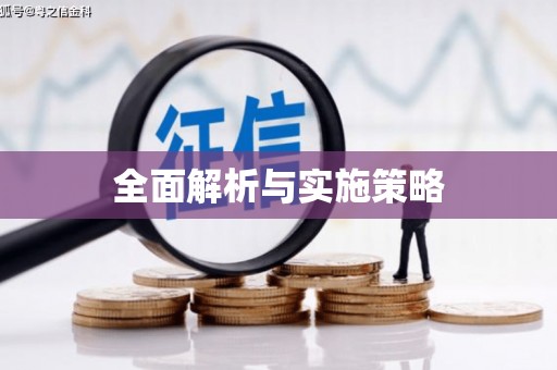 洪雅全面解析与实施策略
