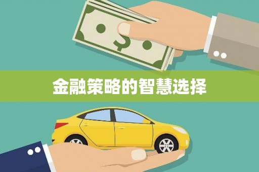 洪雅金融策略的智慧选择