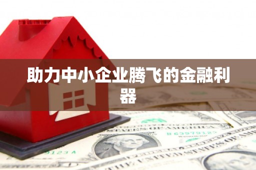 洪雅助力中小企业腾飞的金融利器