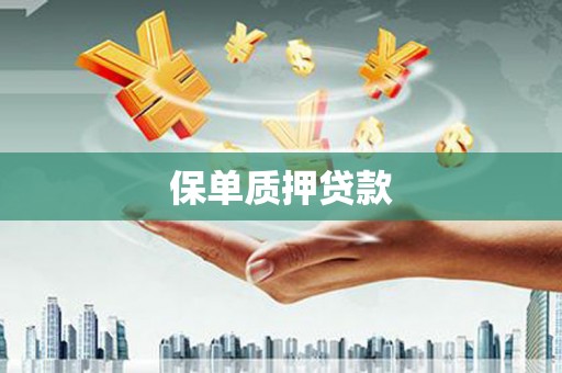 洪雅保单质押贷款