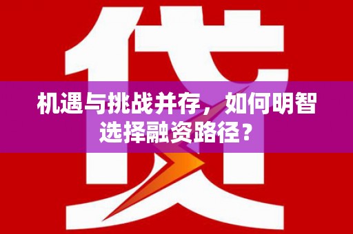 洪雅机遇与挑战并存，如何明智选择融资路径？