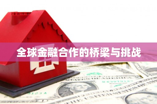 洪雅全球金融合作的桥梁与挑战