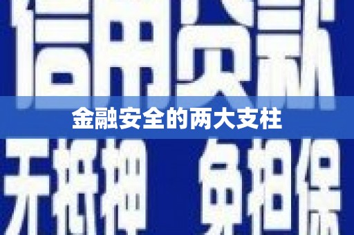 洪雅金融安全的两大支柱
