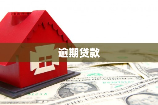 洪雅逾期贷款